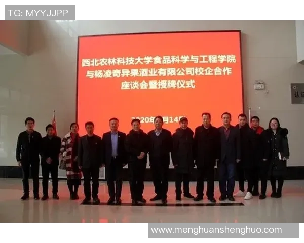 上海网球队防反战术革新探讨与实践分析